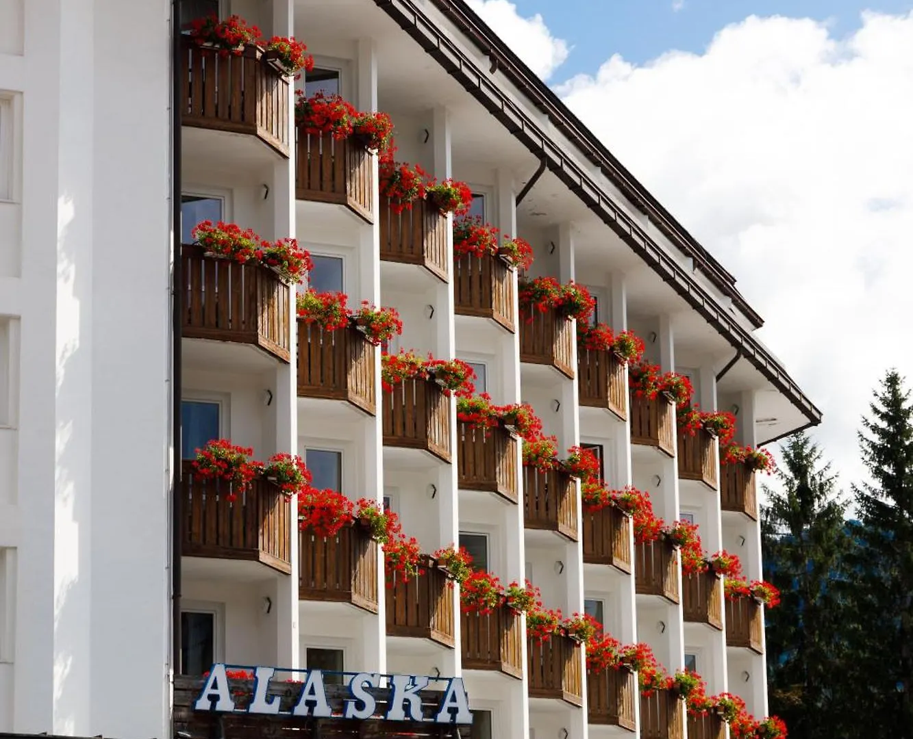 Hotel Alaska Cortina Cortina dʼAmpezzo Itália